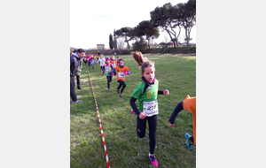 Résultats Cross Narbonne 2017