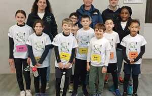 Les poussins à Revel