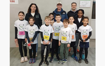 Les poussins à Revel