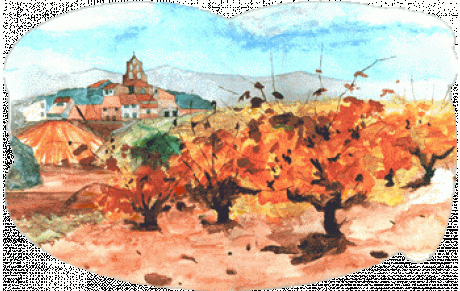 Jour J Cross de la Digne D'aval