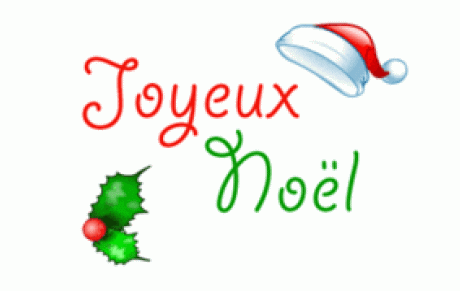 VACANCES DE NOEL: JOYEUSES FÊTES!