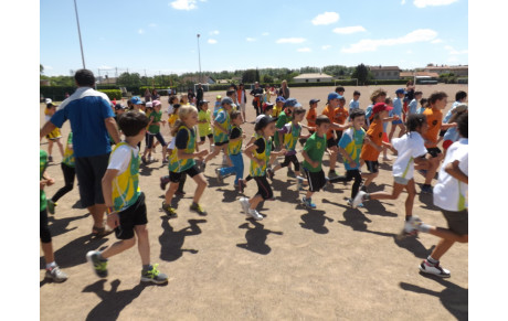 KID ATHLE CASTELNAUDARY