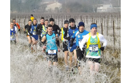 Cross Limoux 2016
