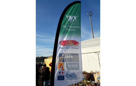 Article Cross Carcassonne