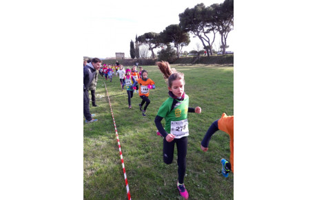 Résultats Cross Narbonne 2017
