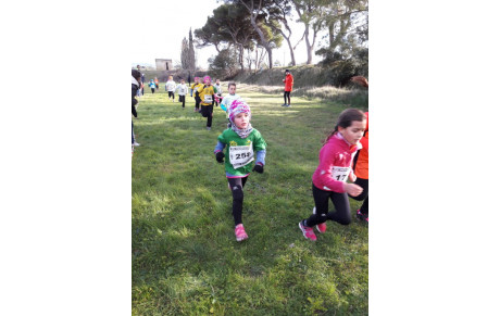 Info Cross Narbonne 2018 - Programme complet du cross de Narbonne. Horaires officiel.