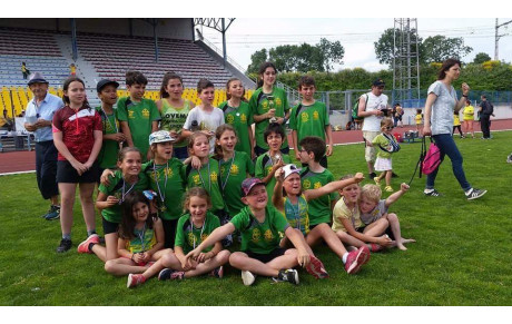 Kid Carcassonne 2018