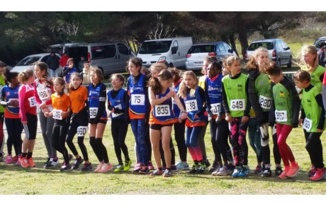 Résumé cross de Narbonne