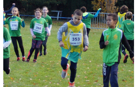 Résumé cross de Carcassonne