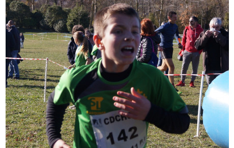 Galerie photos et résumé du cross de Castelnaudary le 15 décembre