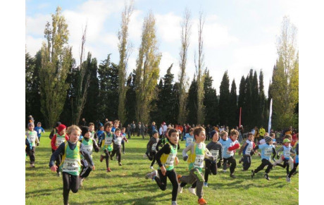 Cross 2024 / 2025